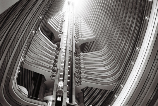 view from a hotel floor looking up at an elevator as it ascends over twenty floors, the building structure looks like a spinal cord in a vast, cavernous black and white edifice