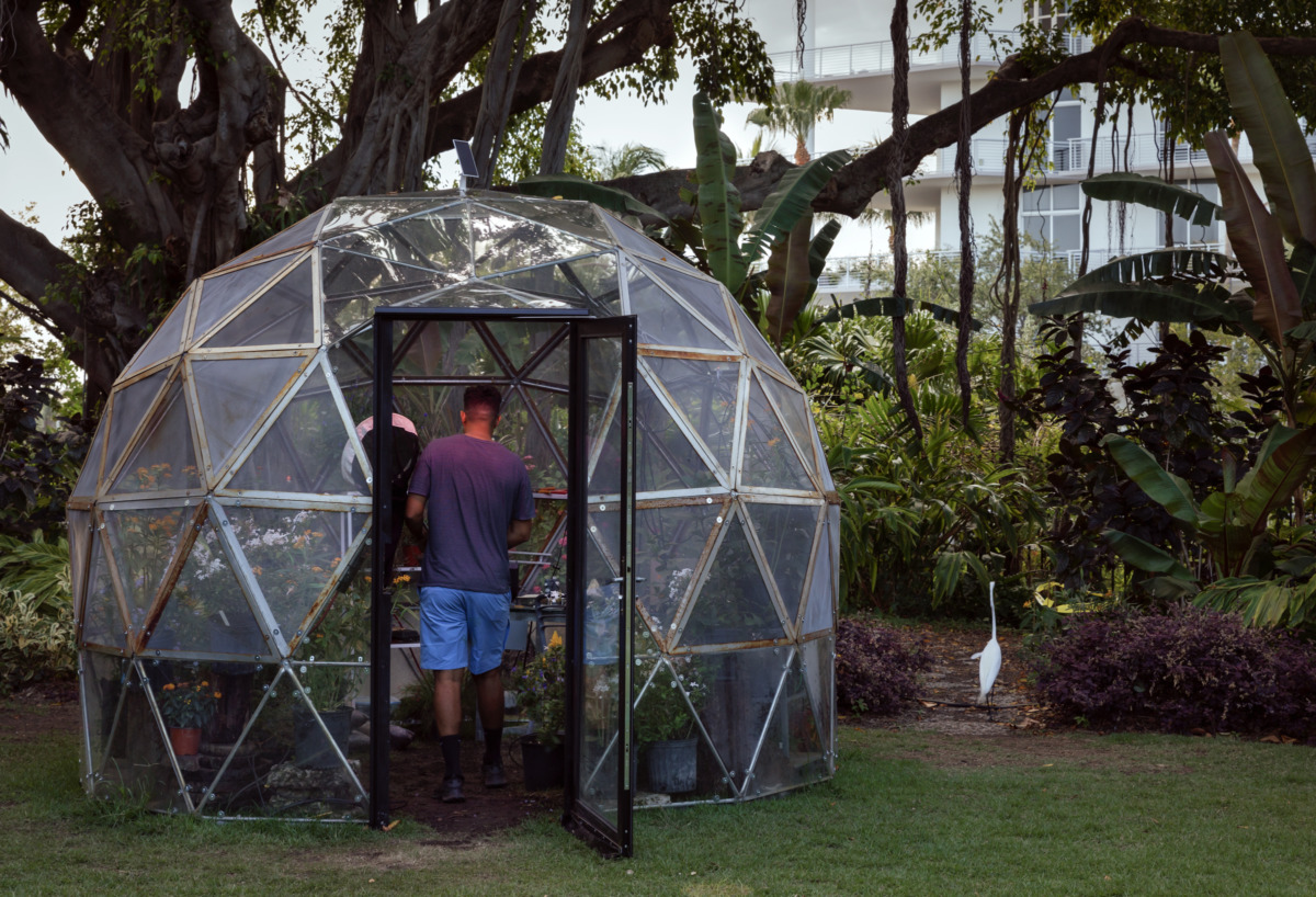 subject entering plastic geodesic dome in front of oak tree wearing blue shorts building in background