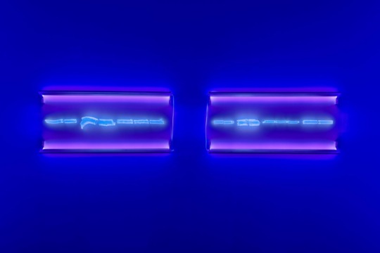 Installation view of blue fluorescent objects